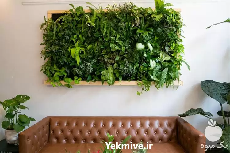 دیوار سبز مصنوعی در حجم بالا در تهران در گروه سازنده در یکمیوه -عکس1
