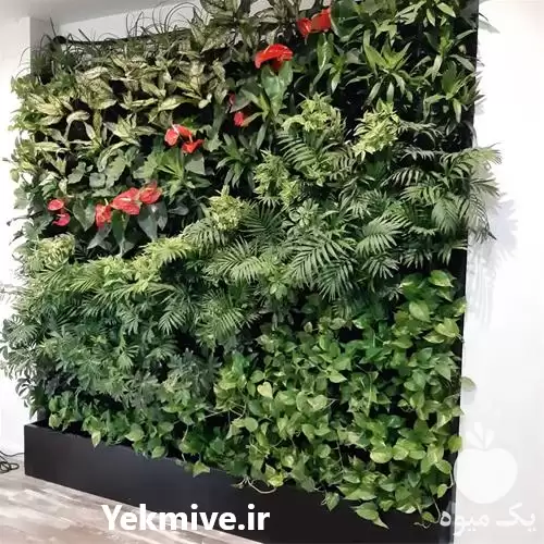 فروش تجهیز آپارتمان با گیاهان لوکس در تهران در گروه خرید و فروش گیاهان زینتی در یکمیوه -عکس1