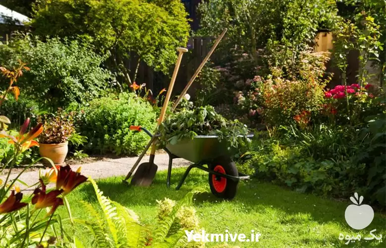 خدمات باغبانی تعویض خاک در تهران در گروه خدمات باغبانی در یکمیوه -عکس1