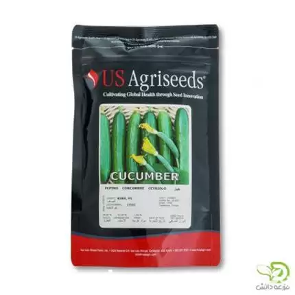 فروش بذر خیار اگری سید در رشت در گروه خرید و فروش بذر خیار در یکمیوه -عکس1