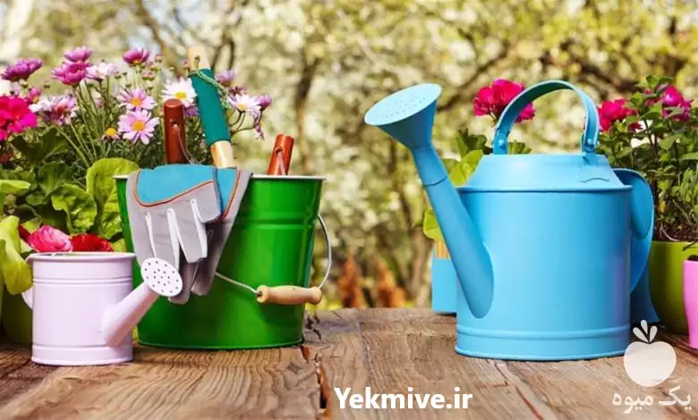 چمن زنی کار باغبانی در کرمانشاه در گروه خدمات باغبانی در یکمیوه -عکس1