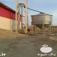 قیمت خرید تجهیزات مرغداری انواع پرورش در زاهدان در گروه تجهیزات مرغداری در یکمیوه