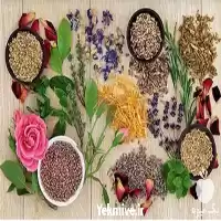 آموزش گیاهان دارویی در گروه دوره آموزش کشاورزی در یکمیوه