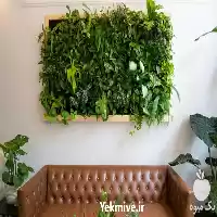 دیوار سبز مصنوعی در حجم بالا در تهران در گروه سازنده در یکمیوه