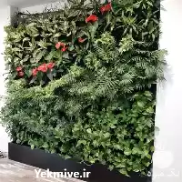 فروش تجهیز آپارتمان با گیاهان لوکس در تهران در گروه خرید و فروش گیاهان زینتی در یکمیوه