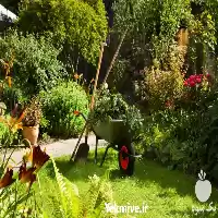 خدمات باغبانی تعویض خاک در تهران در گروه خدمات باغبانی در یکمیوه