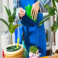 خدمات باغبانی و گلکاری باغچه کاری در گروه خدمات باغبانی در یکمیوه