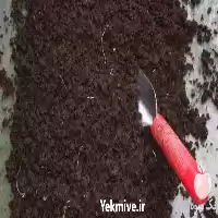 قیمت خرید ورمی کمپوست ارویج استاندارد در تهران در گروه خرید و فروش کود کمپوست در یکمیوه