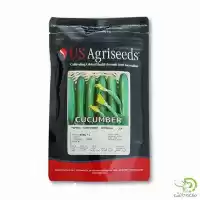 فروش بذر خیار اگری سید در رشت در گروه خرید و فروش بذر خیار در یکمیوه