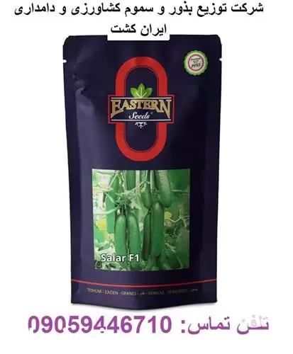 قیمت خرید بذر خیار در همدان در گروه خرید و فروش بذر خیار در یکمیوه -عکس1