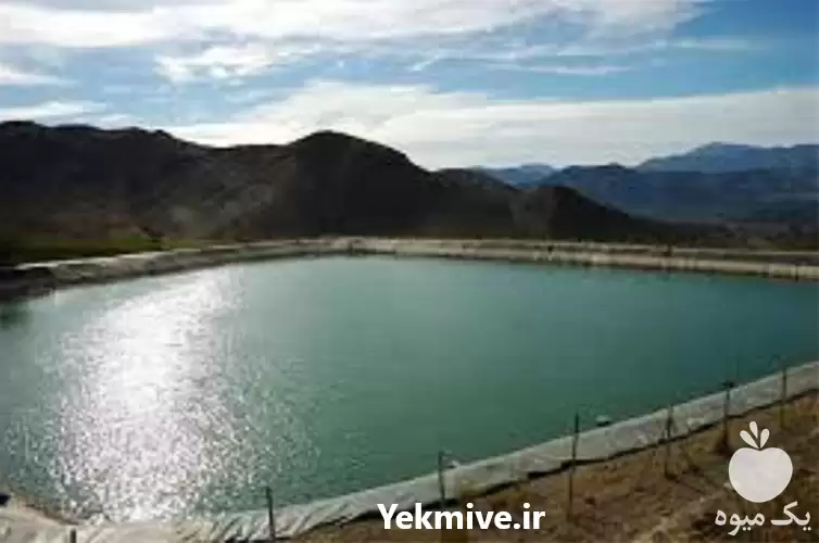 قیمت خرید برترین مجری استخر کشاورزی در تهران در گروه خرید و فروش استخر کشاورزی در یکمیوه -عکس1