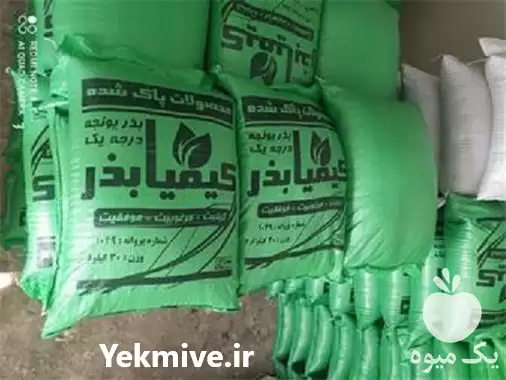 قیمت خرید قیمت بذر یونجه گرمسیری در گروه خرید و فروش بذر یونجه در یکمیوه -عکس1
