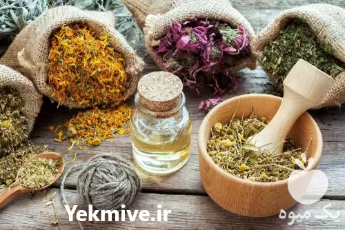 قیمت خرید توزیع کننده عمده گیاهان در تهران در گروه خرید و فروش گیاهان دارویی در یکمیوه -عکس1