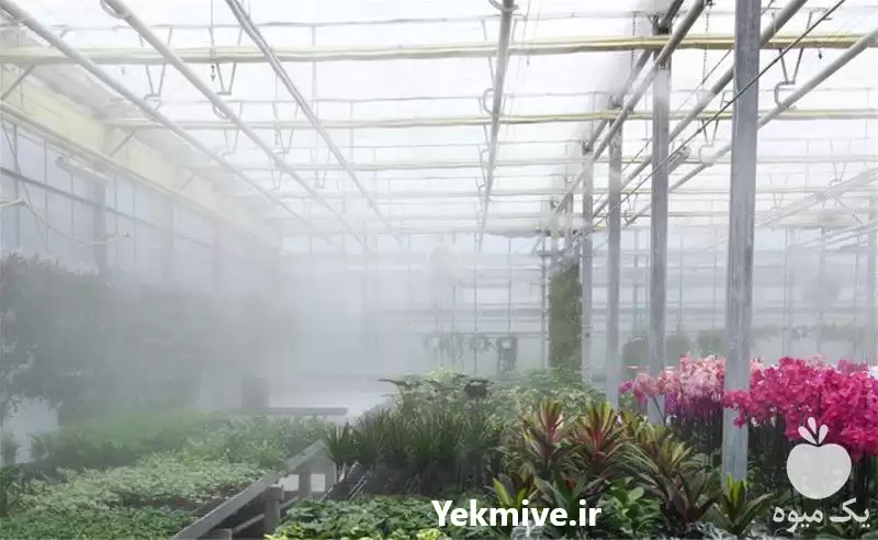 فروش قیمت مه پاش گلخانه ای در تهران در گروه خرید و فروش رطوبت ساز در یکمیوه -عکس1