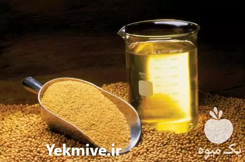 فروش 	روغن سویا کلزا پودر چربی در گروه خرید و فروش انواع روغن در یکمیوه -عکس1