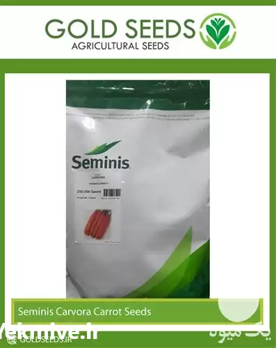 عرضه و فروش بذر هویج نانتس در یزد در گروه خرید و فروش بذر هویج در یکمیوه -عکس1