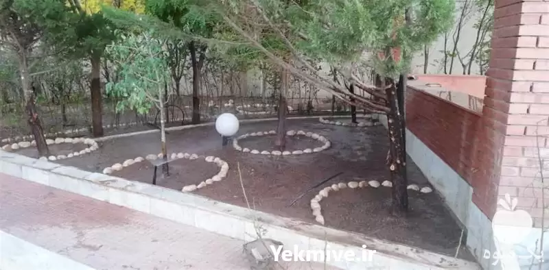 هرس درخت کاشت درخت در کرمان  در گروه هرس کاری در یکمیوه -عکس1