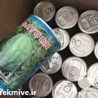 فروش قیمت بذر هندوانه ساترن میکادو در گروه خرید و فروش بذر هندوانه در یکمیوه