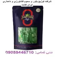 قیمت خرید بذر خیار در همدان در گروه خرید و فروش بذر خیار در یکمیوه