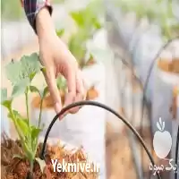 فروش طراحی و اجرای آبیاری در ساری در گروه خرید و فروش دستگاه آبیاری در یکمیوه