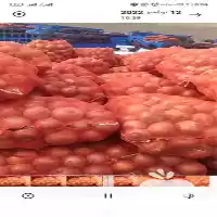 پیاز قرمز و پیاز زرد در زاهدان در گروه خرید و فروش پیاز در یکمیوه