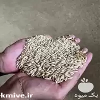 فروش جو دامی با کیفیت در تهران در گروه خرید و فروش گندم و جو در یکمیوه