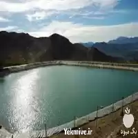 قیمت خرید برترین مجری استخر کشاورزی در تهران در گروه خرید و فروش استخر کشاورزی در یکمیوه