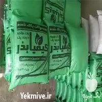 قیمت خرید قیمت بذر یونجه گرمسیری در گروه خرید و فروش بذر یونجه در یکمیوه