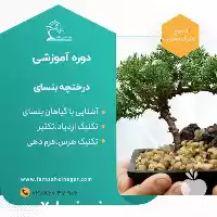 آموزش و پرورش درختچه بنسای در گروه دوره آموزش کشاورزی در یکمیوه