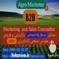 مشاور بازاریابی مقیاس کشاورزی صنعتی در گروه تبلیغات و بازاریابی در یکمیوه