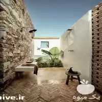 خدمات پیشرفته کشاورزی و فضای سبز در گروه سازنده در یکمیوه