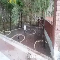 هرس درخت کاشت درخت در کرمان  در گروه هرس کاری در یکمیوه