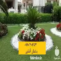 باغبان آنلاین در گروه سازنده در یکمیوه