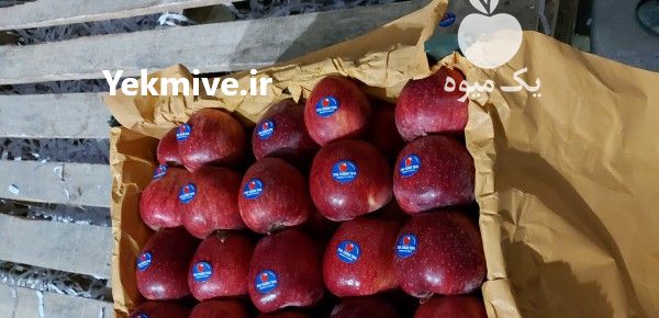 فروش بار بارکن انواع میوه جات در ارومیه در گروه بار بارکن محصولات کشاورزی در یکمیوه -عکس1