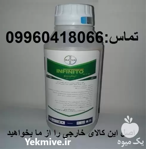 فروش سم قارچ کش اینفینیتو آلمان در ساری در گروه خرید و فروش انواع سم در یکمیوه -عکس1