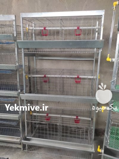 دستگاه جوجه کشی قفس طیور در ساری در گروه تجهیزات مرغداری در یکمیوه -عکس3