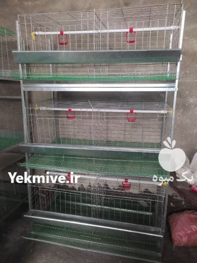دستگاه جوجه کشی قفس طیور در ساری در گروه تجهیزات مرغداری در یکمیوه -عکس4