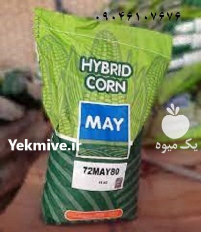بذر ذرت مای MAY – رقم در اصفهان در گروه خرید و فروش بذر ذرت در یکمیوه -عکس1
