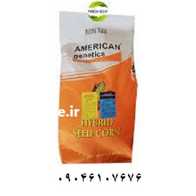 بذر ذرت آمریکن ژنتیک در کرمان  در گروه خرید و فروش بذر ذرت در یکمیوه -عکس1