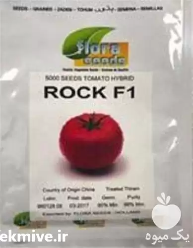 فروش بذر گوجه فرنگی راک در رشت در گروه خرید و فروش بذر گوجه در یکمیوه -عکس1