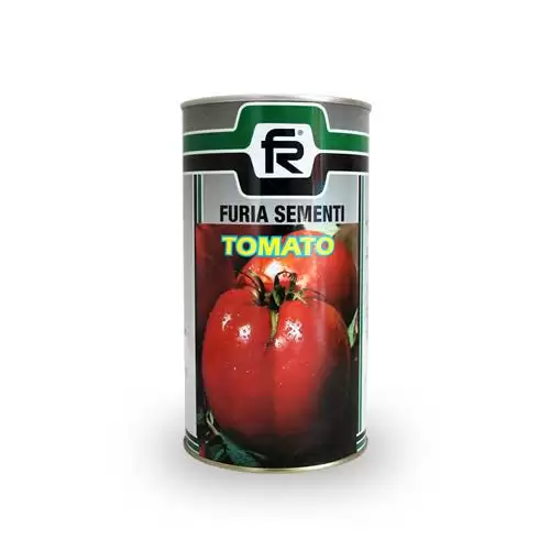 فروش گوجه فرنگی رداستون در گروه خرید و فروش بذر گوجه در یکمیوه -عکس1