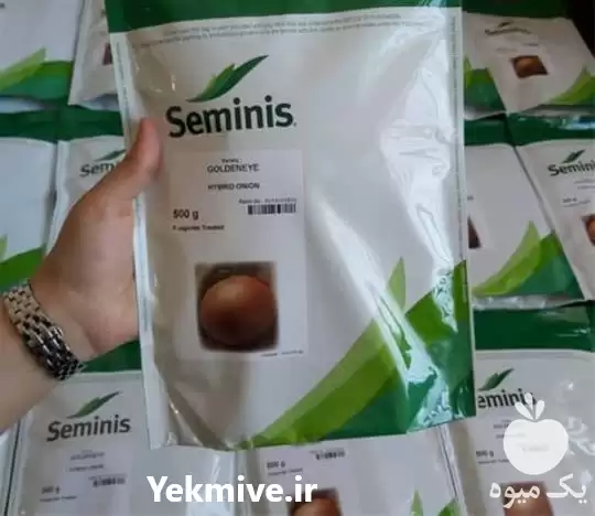 فروش بذر پیاز گلدن ای پربار در اهواز در گروه خرید و فروش بذر پیاز در یکمیوه -عکس1
