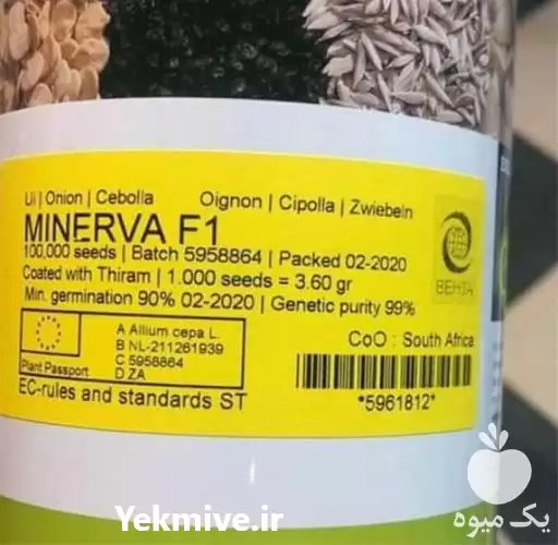 قیمت خرید بذر پیاز مینروا بسیار در اهواز در گروه خرید و فروش بذر پیاز در یکمیوه -عکس1