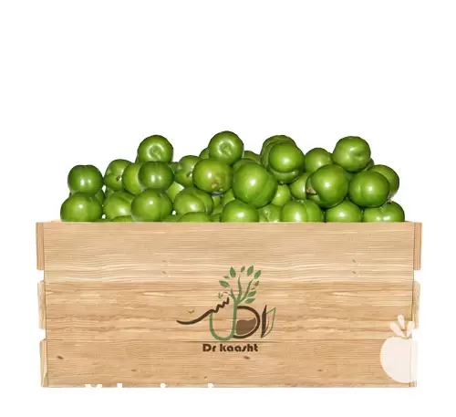 قیمت خرید عمده نهال گوجه سبز در کرج در گروه خرید و فروش نهال در یکمیوه -عکس1