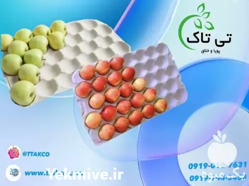 فروش شانه میوه در رشت در گروه انواع بسته بندی محصول در یکمیوه -عکس1