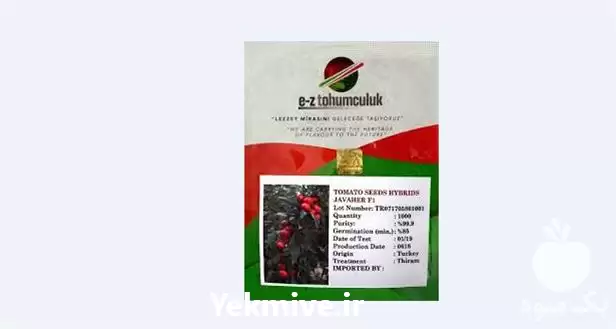 فروش بذر گوجه گلخانه ای جواهر در ارومیه در گروه خرید و فروش بذر گوجه در یکمیوه -عکس1