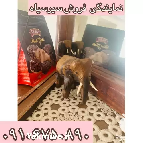 قیمت خرید سیر سیاه اصل در مشهد در گروه خرید و فروش سیر در یکمیوه -عکس1