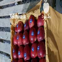 فروش بار بارکن انواع میوه جات در ارومیه در گروه بار بارکن محصولات کشاورزی در یکمیوه