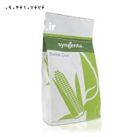 بذر ذرت شیرین اکسن چوئیت در شیراز در گروه خرید و فروش بذر ذرت در یکمیوه