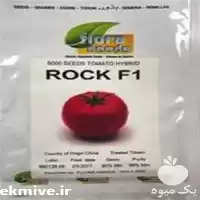 فروش بذر گوجه فرنگی راک در رشت در گروه خرید و فروش بذر گوجه در یکمیوه